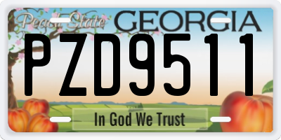 GA license plate PZD9511