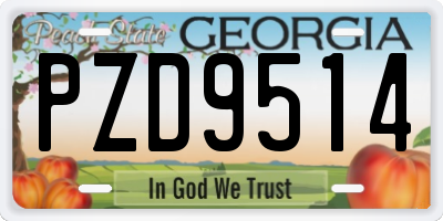 GA license plate PZD9514