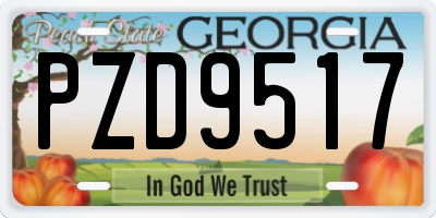 GA license plate PZD9517