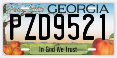 GA license plate PZD9521