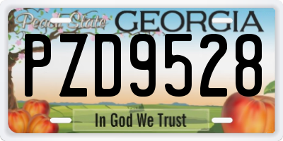 GA license plate PZD9528