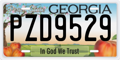 GA license plate PZD9529