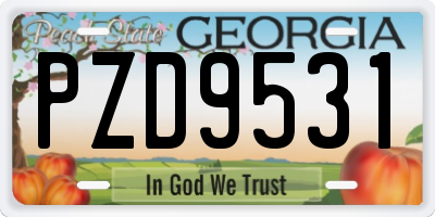 GA license plate PZD9531