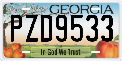 GA license plate PZD9533