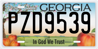 GA license plate PZD9539