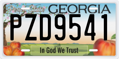 GA license plate PZD9541