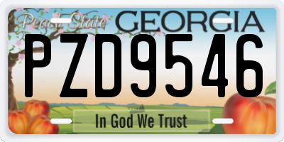 GA license plate PZD9546