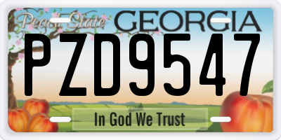 GA license plate PZD9547