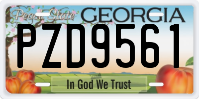 GA license plate PZD9561