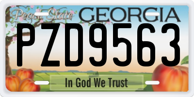 GA license plate PZD9563