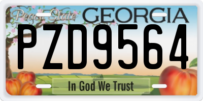 GA license plate PZD9564
