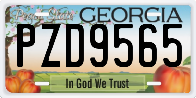 GA license plate PZD9565