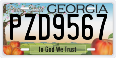 GA license plate PZD9567