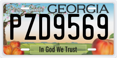 GA license plate PZD9569