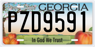 GA license plate PZD9591