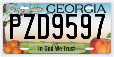 GA license plate PZD9597