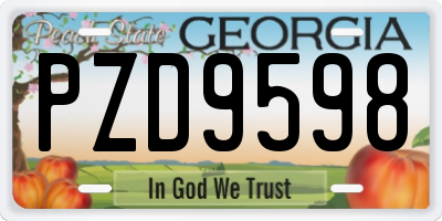 GA license plate PZD9598