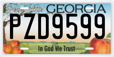GA license plate PZD9599