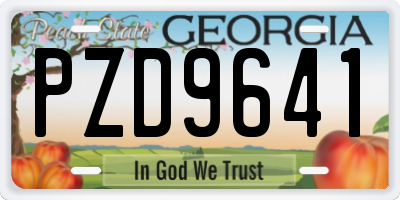 GA license plate PZD9641