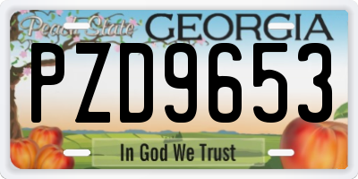 GA license plate PZD9653