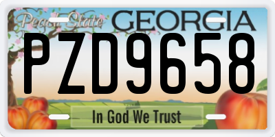GA license plate PZD9658