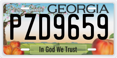 GA license plate PZD9659