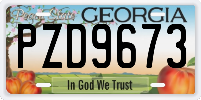 GA license plate PZD9673