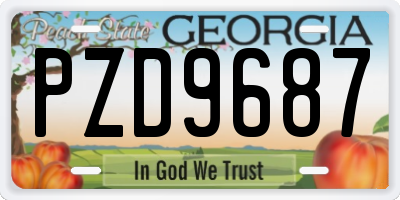 GA license plate PZD9687