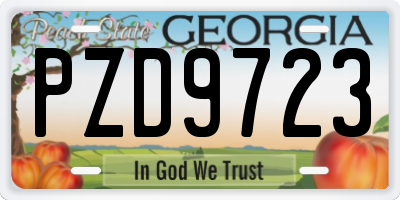 GA license plate PZD9723