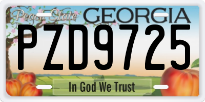 GA license plate PZD9725