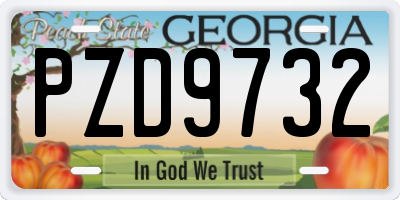 GA license plate PZD9732