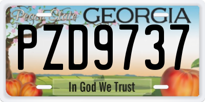 GA license plate PZD9737