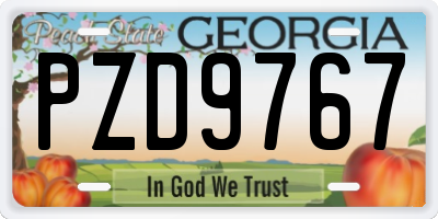 GA license plate PZD9767