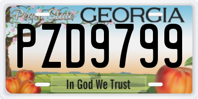 GA license plate PZD9799