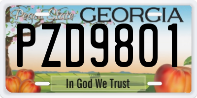 GA license plate PZD9801