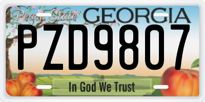 GA license plate PZD9807