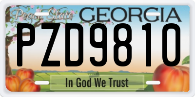 GA license plate PZD9810