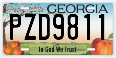 GA license plate PZD9811