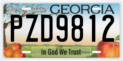 GA license plate PZD9812