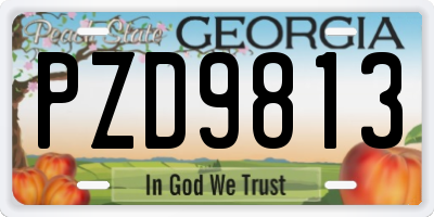 GA license plate PZD9813