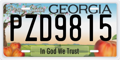 GA license plate PZD9815