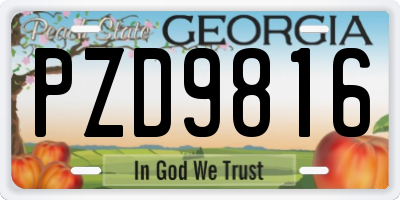 GA license plate PZD9816