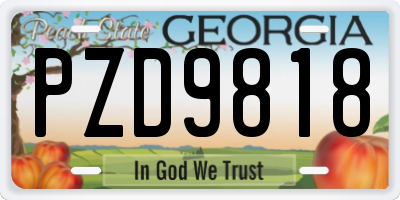 GA license plate PZD9818