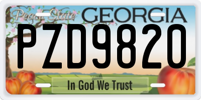 GA license plate PZD9820