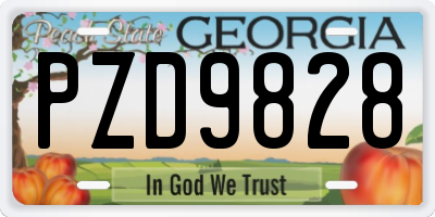 GA license plate PZD9828