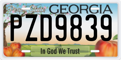 GA license plate PZD9839