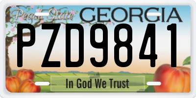 GA license plate PZD9841