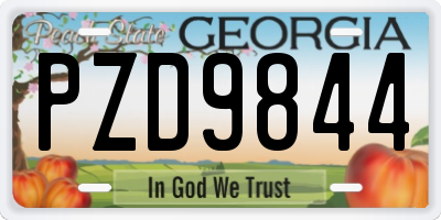 GA license plate PZD9844