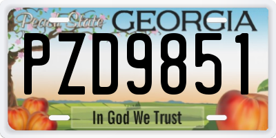 GA license plate PZD9851