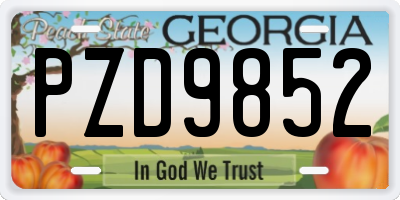 GA license plate PZD9852